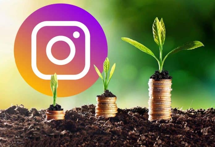 How-to-grow-instagram-followers
