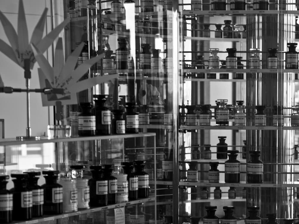 Interview with Olivier Polge, In-House Perfumer Creator at CHANEL. 5 Olivier Polge CHANEL