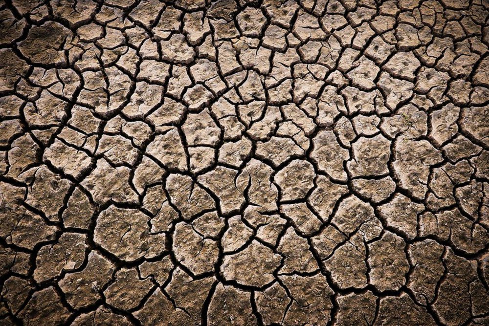 climate-change-is-here