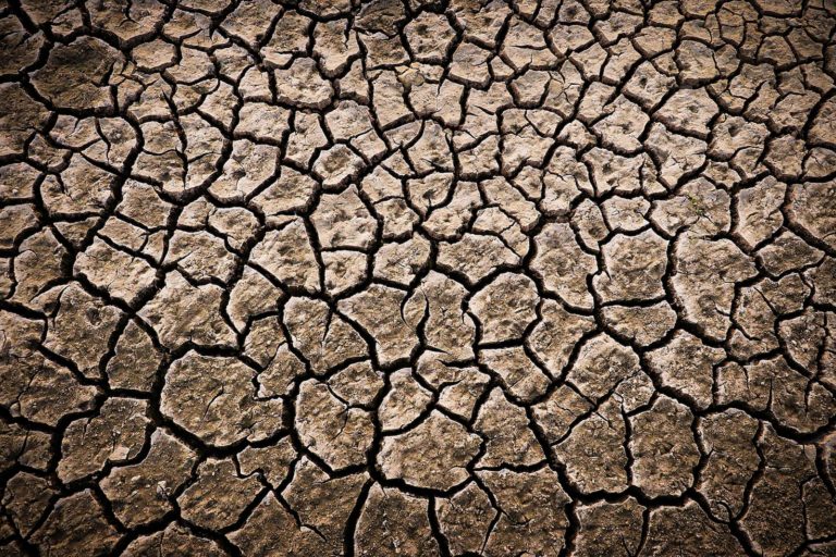 climate-change-is-here