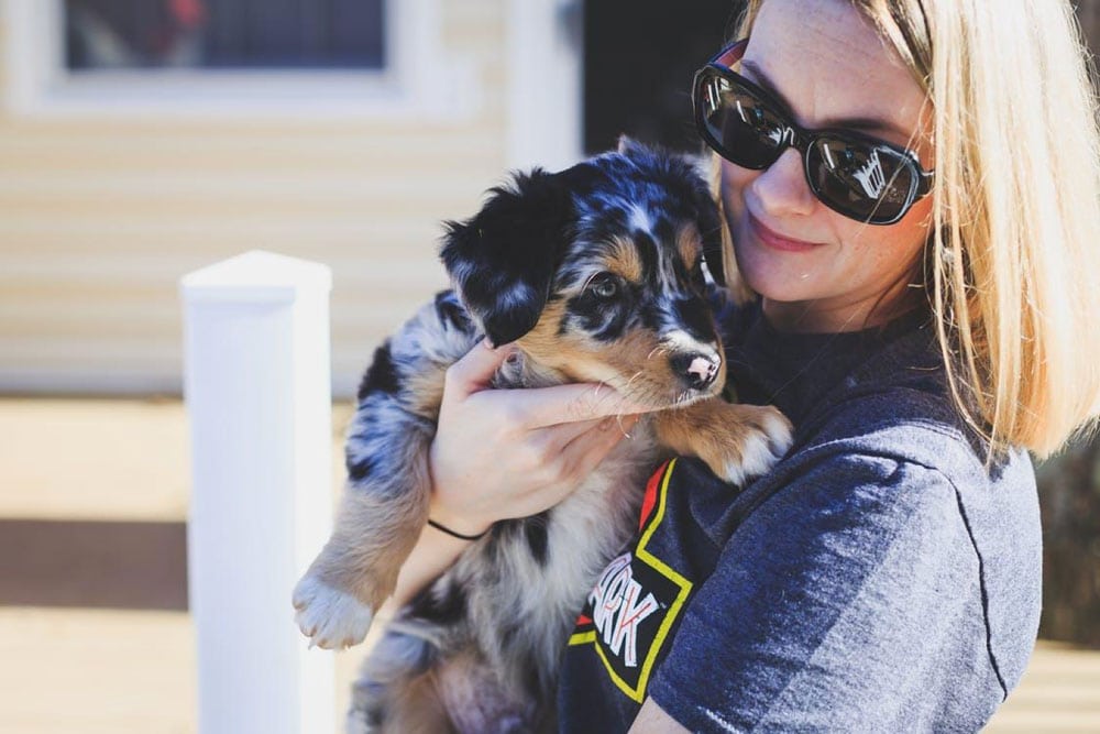 Photo of Is the Australian Shepherd Recommended for First-Time Pet Owners? | Luxury Activist