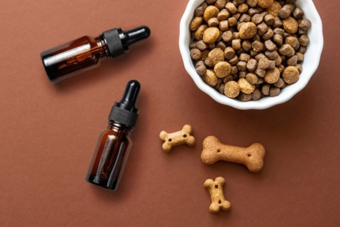 CBD-for-Dogs-guide