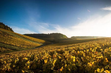 Domaine-des-Malandes