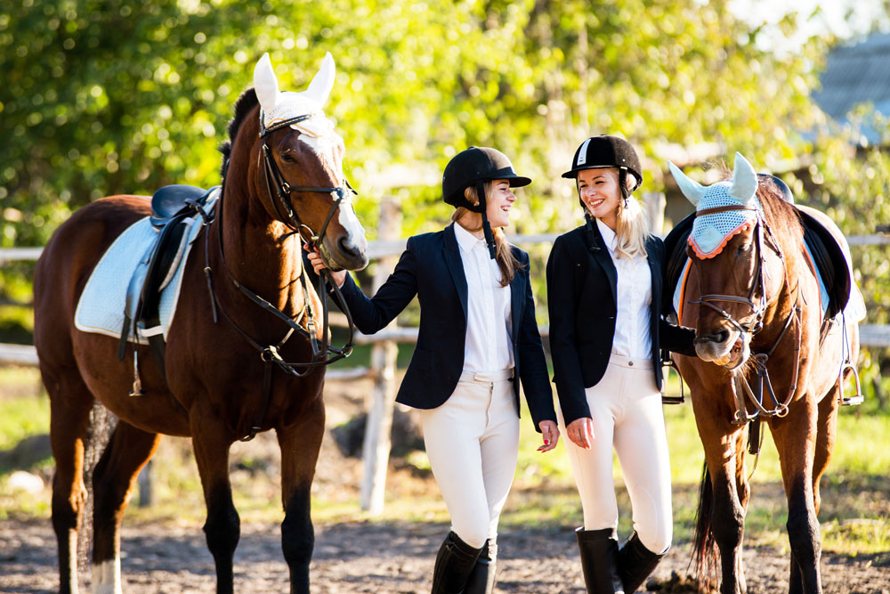 Buy Equestrian Clothing Online Noomi Chantell, 52% OFF