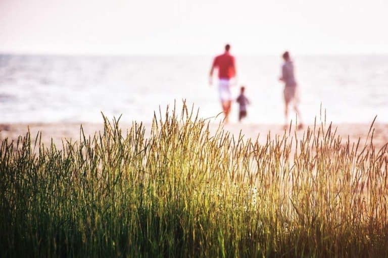 Family-travel-guide