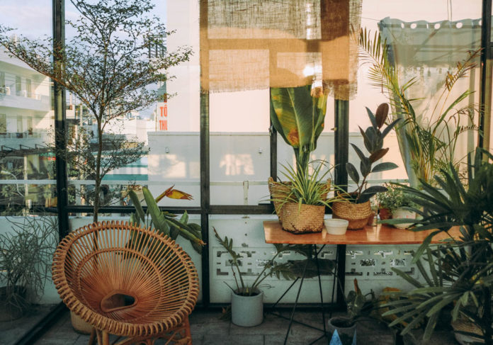 Interior-plants-guide