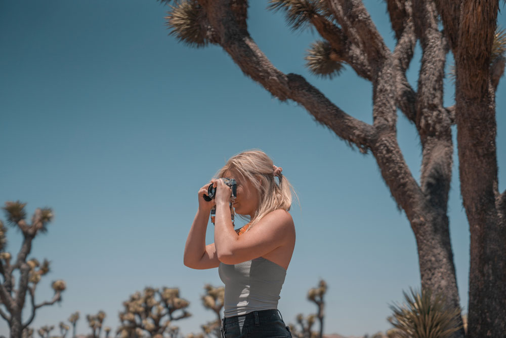 travel-guide-joshua-tree-park