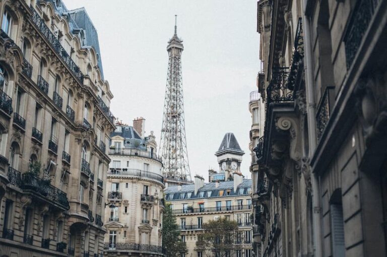 Is France still a market for luxury goods?