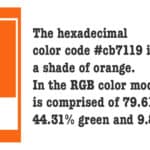 Pantone-Orange-Tiger