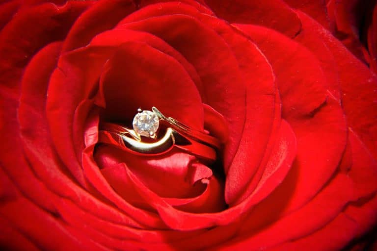 rose-gold-jewelry