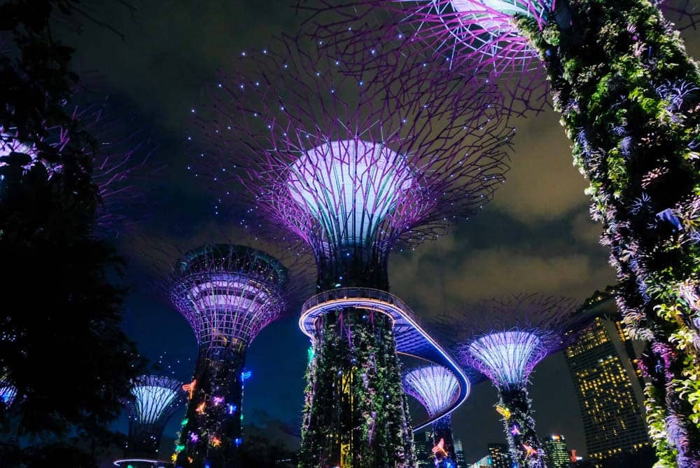 singapore-garden-by-the-bay