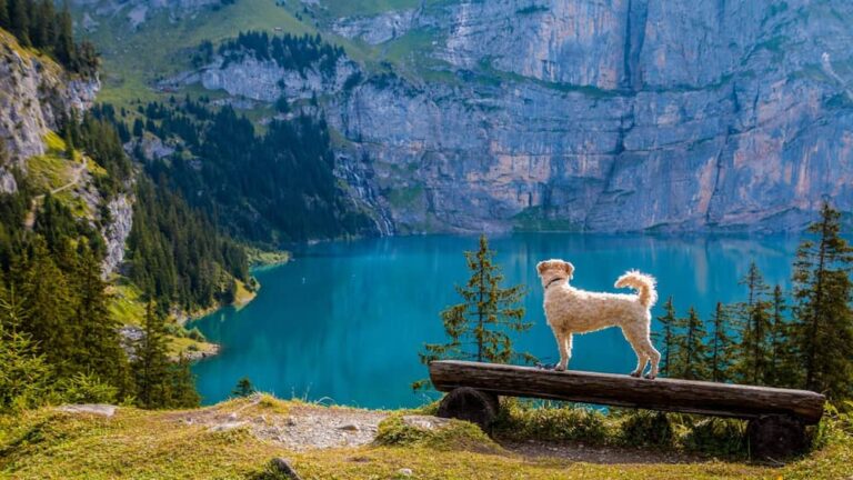 Swiss lakes: nature destinations not to be missed