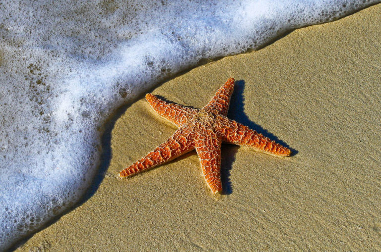 Top-beaches-around-the-world