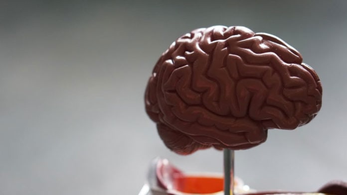 brain-injury-tips