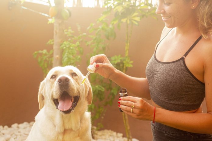 cbd-oil-guide