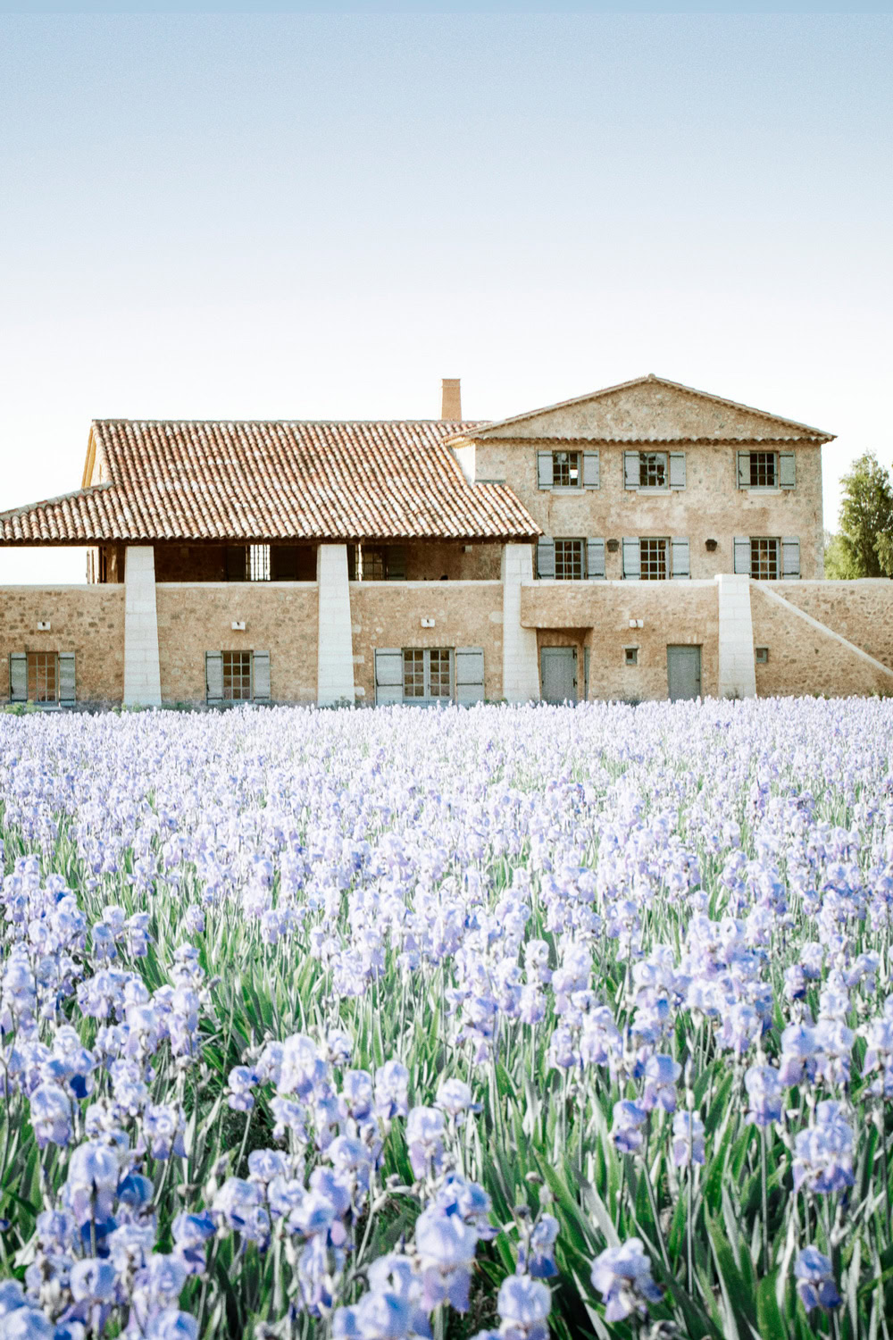 CHANEL-iris-fields
