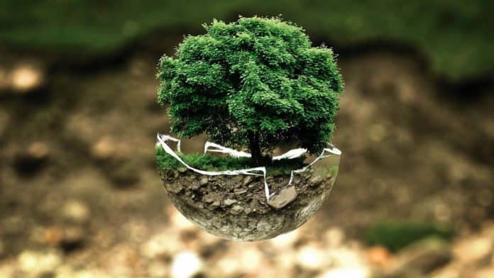 ecology