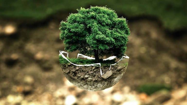 ecology
