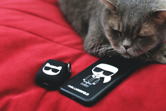 famous-pets-designer