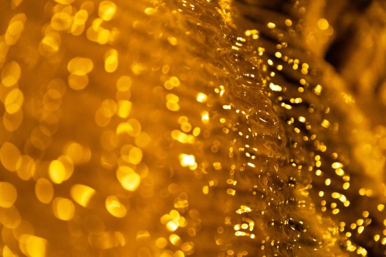 Five incredible facts about Amber Fragrance