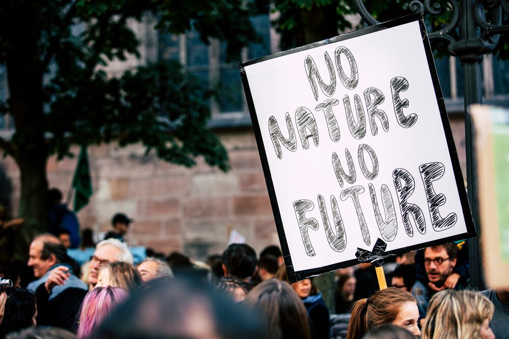 ecology-fight