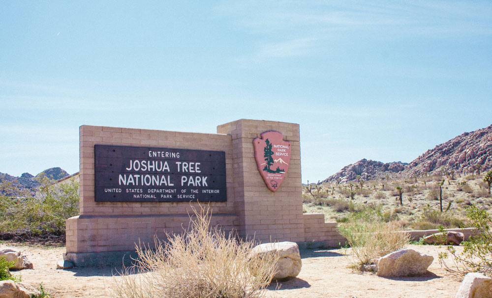 Photo of Planning a Trip to Joshua Tree Town? Here Are Some Useful Tips | Luxury Activist