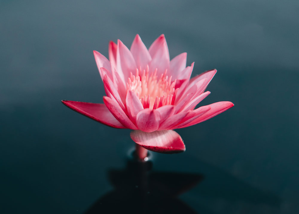 Exploring Different Meditation Techniques for Inner Peace and Clarity 1 meditation-is-key