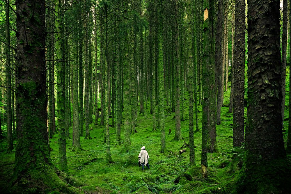 green-planet