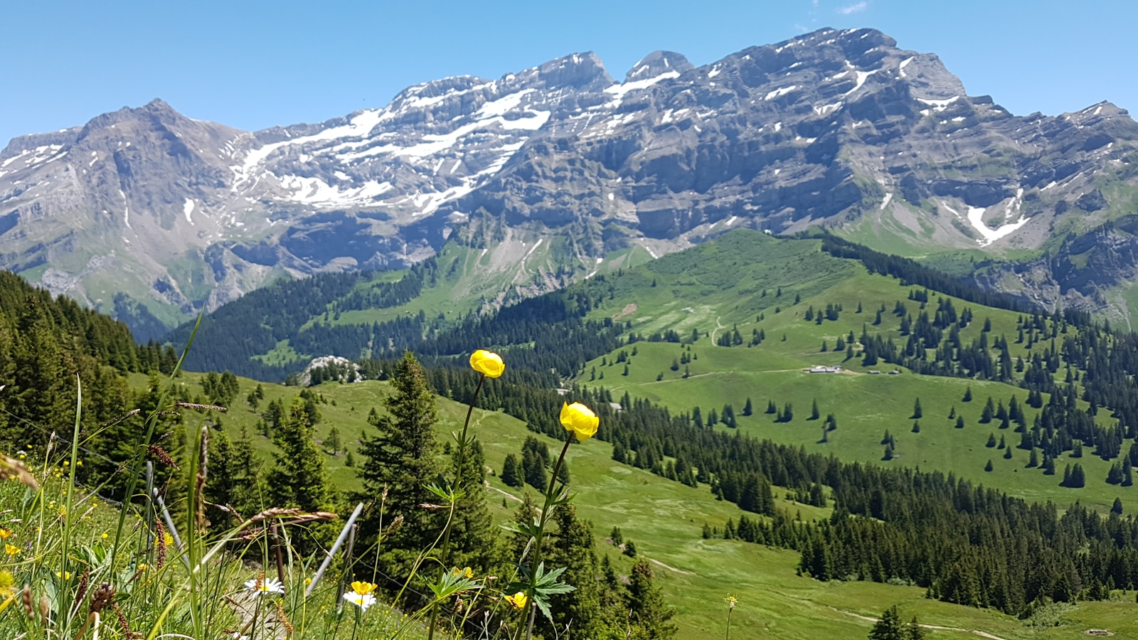 The Glacier Hotel in Diablerets: Switzerland's Alpine Gem. 8 Les Diablerets in Switzerland