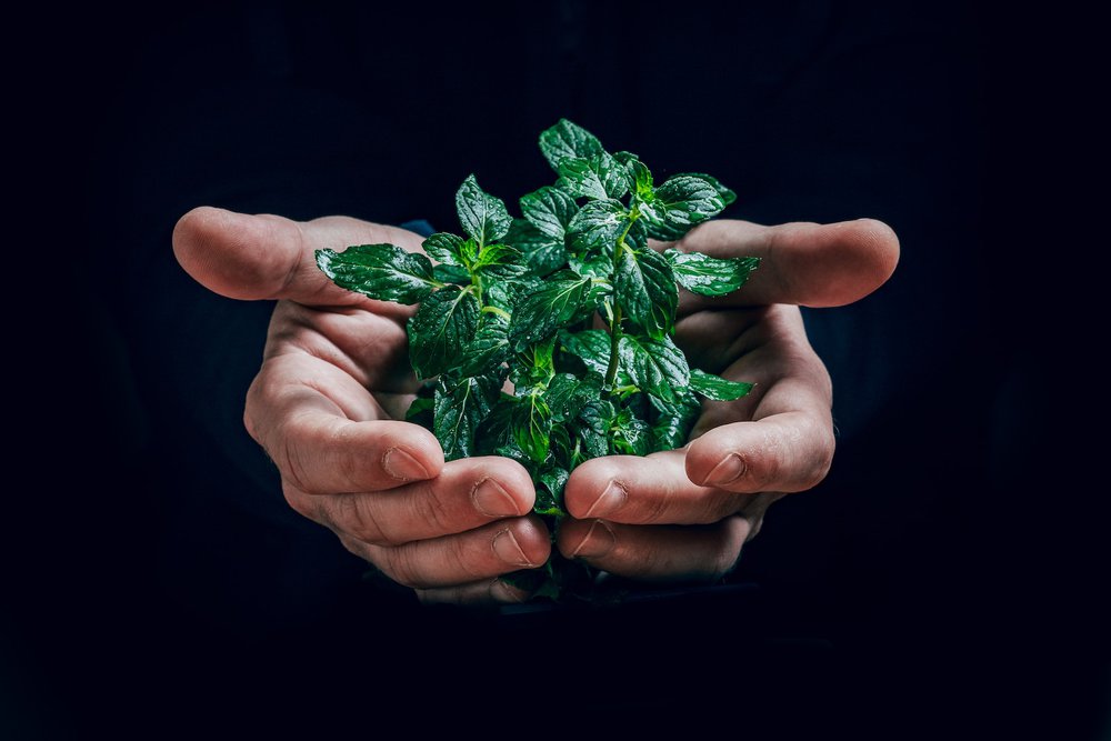 eco-anxiety-tips