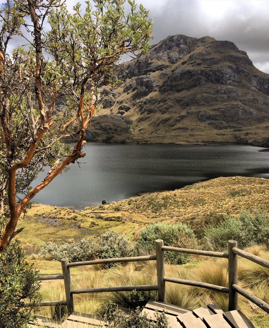 Ecuador-workcation