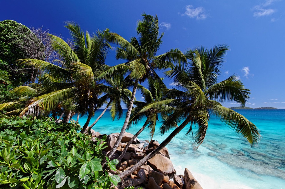 seychelles-workcation