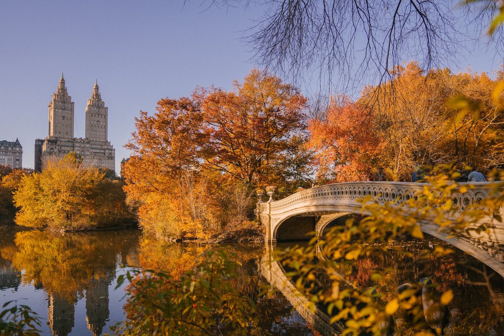 New-York-Central-Park-guide