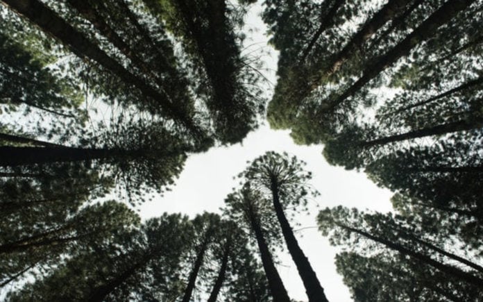 sustainable_business