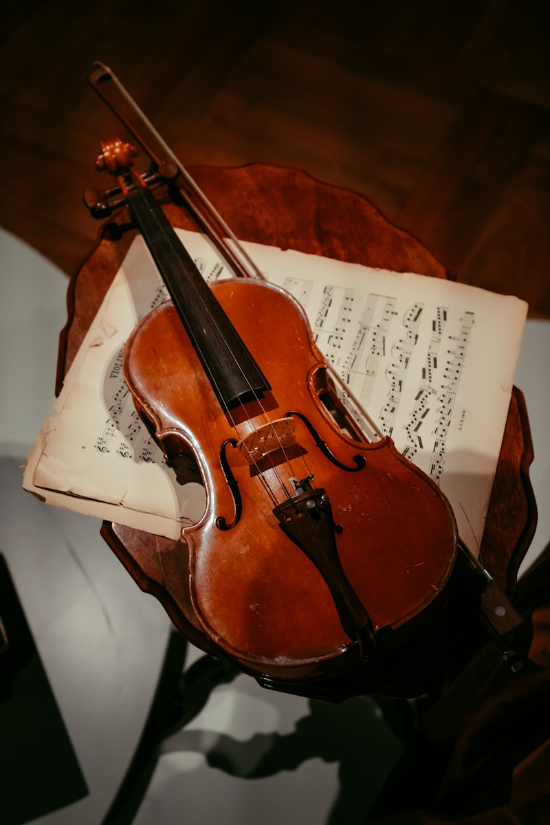 The Eternal Voice: What is a Violin and the Instrument That Shaped Music? 1 What is a violin history