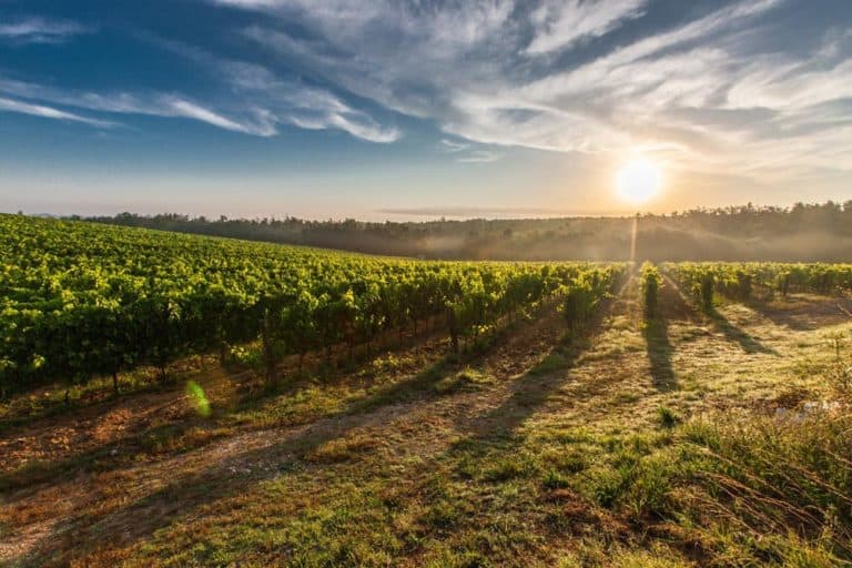 tuscany-travel-guide