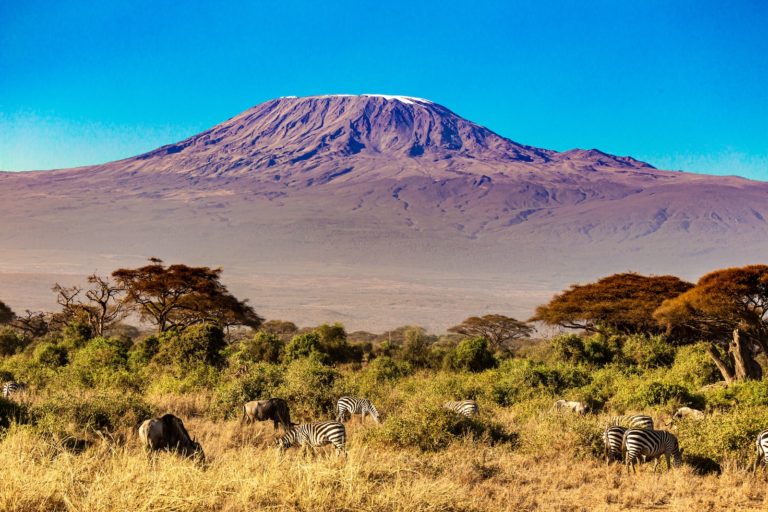 The Exciting Adventure of Kilimanjaro Tours – A Journey of a Lifetime The Exciting Adventure of Kilimanjaro Tours – A Journey of a Lifetime